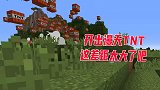 我的世界幸运方块03：小狗开出林地府邸我却开出TNT，这差距