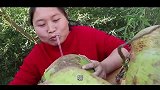 胖妹尝鲜，用15斤新鲜椰子，炖只3斤重土鸡，好吃到连汤都不剩