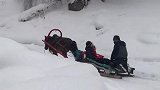 禾木今天大雪！太美了！