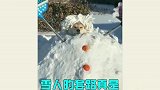 每当大雪过后，一批堆雪人高手也是横空出世