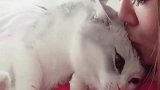 这么会撒娇的小猫咪，完全没办法拒绝啊，只想一顿亲亲