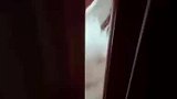 叠罗汉小猫咪，猫快放我进去