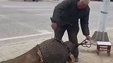 炸一下锅没了，这是什么情况