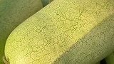 原来进口西瓜长这样啊
