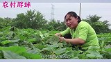 公公回家胖妹最高兴，做盆爆炒八爪鱼当下酒菜，公公一人吃嗨啦