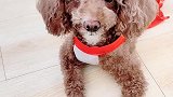下雨出不去就不高兴