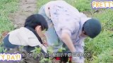 国民闺女张子枫：被冯小刚称赞演技天才，却被黄磊暗算险被污染！