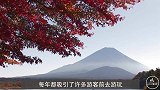 全球最土豪的房东，靠出租“富士山”过日子，每年收钱到手软！