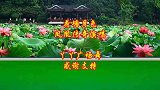 老歌新跳广场舞《荷塘月色》凤凰传奇演唱，嗓音独特，舞蹈简单