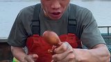 被船长捉弄的八爪鱼