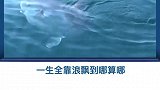 智商最低的鱼，渔民在海上捡到都不吃