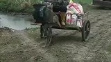 能人在民间，自己研制的小三轮车，真是种地的好帮手！