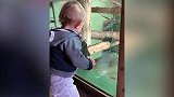 这个宝宝好奇心很重，隔着玻璃看猩猩，猩猩怎么跳逗无动于衷！