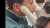 你看起来不开心的样子，让我来哄哄你