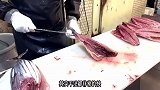 不时不食：春节洄游的正鲣（初鲣）鱼肉水嫩似果冻