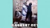 搞笑视频：快来看呀，你家傻子成仙了，进来就吓我一跳