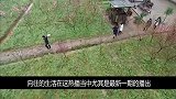 杨紫做客蘑菇屋！张艺兴真情流露手把手教种树！黄磊傻眼：有猫腻