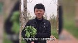 嫁给什么样的男人，女人不会有离婚的想法！