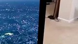 如果是虚拟的场景，这也太真实了吧
