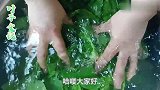 菠菜学会这样做，补铁补钙营养翻倍，我家孩子最爱吃，上桌就抢光