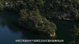 湖南老汉藕田中发现“奇石”，没有几十万不卖，结果悲剧了！