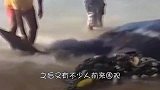 在海滩发现一个未知海洋生物，检查后了解身份，结局有些惋惜