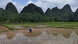 封锁74年的禁区，竟成“野性”旅游地，美女烈酒熊肉一应俱全