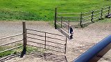 小男孩去关农场大门，没想到自己竟被两扇门给调戏了，差点跑断腿