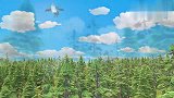 熊出没：吉吉太坏了，居然给光头强扔蜂巢，引得蜜蜂把光头强蛰