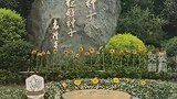 跨越1.2万公里，他把一袋特殊的稻米带到袁隆平墓前：“袁老师，您的种子在冈比亚生根了，我们不再挨饿了！”