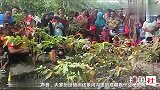 河里一条小鱼都没有，抽干水后，才发现是这个怪鱼的原因！
