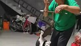 来自奶奶对猫咪的爱,拿出古董称来称体重