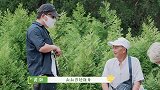 辣目洋子和广场爷爷跳拉丁舞，黄渤热烈鼓掌
