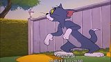 汤姆猫为钱捉水獭，杰瑞鼠假装合作，活生生坑了一把汤姆猫！