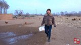 小侄子过生日，晓儿妈妈亲自下厨做肉勾鸡，一家人欢聚一堂真热闹