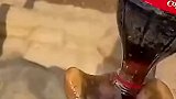 游客到象园看大象