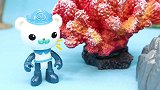 海底小纵队出发探险 巴克队长皮医生偷恐龙蛋