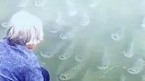 姜太婆钓鱼，愿者上钩
