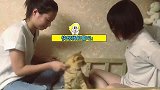 喜欢吸猫的女生到底有多可怕？网友：猫咪的喵生艰难啊！