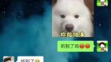 听到了吗？大憨与二妹