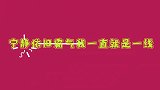 当明星谈到自己过气，杨钰莹泪流满面，反观宁静张韶涵霸气如初