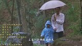 经典音乐《让泪化作相思雨》，一首治愈伤感寂寞的怀旧金曲