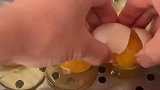 还敢自称20年的厨师，就这做鸡蛋汤的技术，倒贴钱我都不敢用