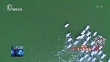 航拍湿地  山青水绿生态美