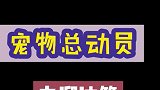 宠物总动员之溜达篇