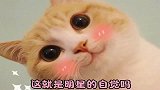 论明星的自觉性有多强！自动消音可还行