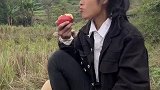 小牛犊子老远的闻到苹果香味就跑过来了