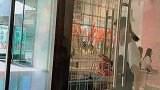 西贡时髦小姐姐，你们喜欢这种类型吗