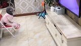 泰迪坐在凳子上看动画片，一边看还一边抖腿，这狗真会享受