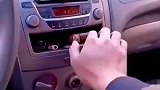 一只喜鹊突然飞进车里抢司机的烟